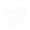 browser support this image
